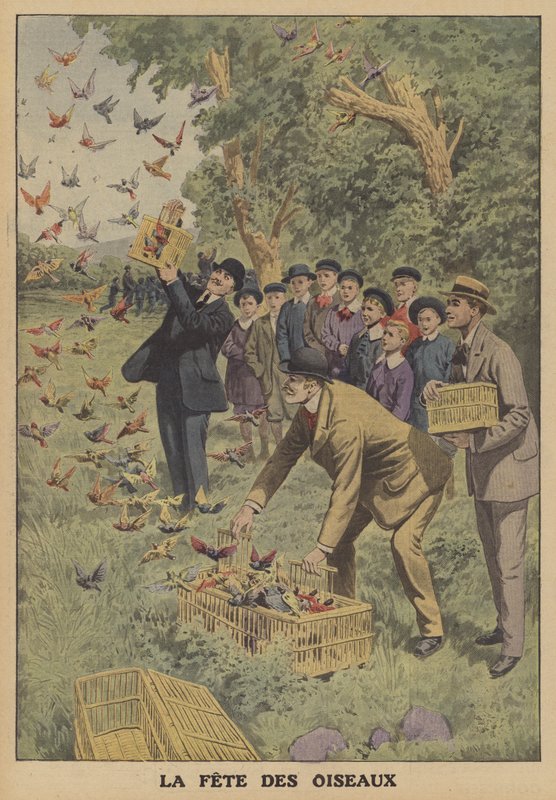 Fuglefestival i Belgia (farge litho) av French School