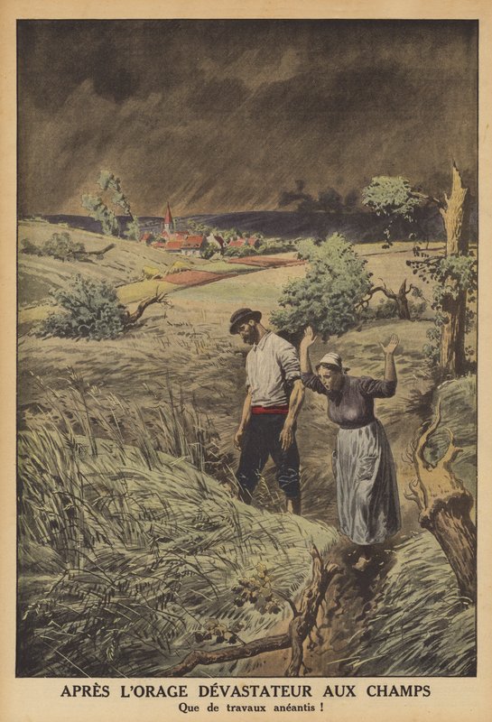 Felter ødelagt av et tordenvær i Frankrike (farge litho) av French School