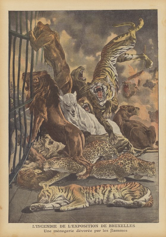 Brann på den internasjonale utstillingen i Brussel i 1910 (farge litho) av French School