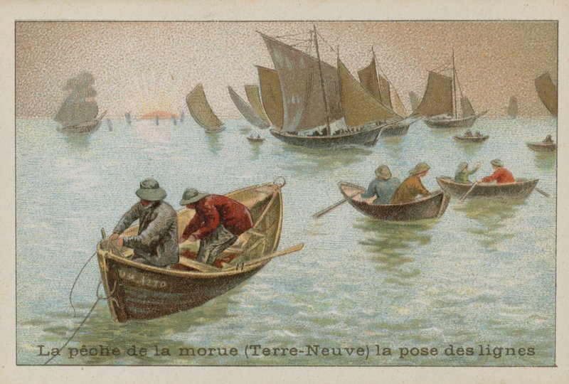 Fiske av torsk i Newfoundland - legging av linjer av French School
