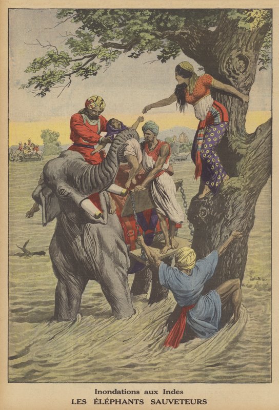 Flom i India (farge litho) av French School