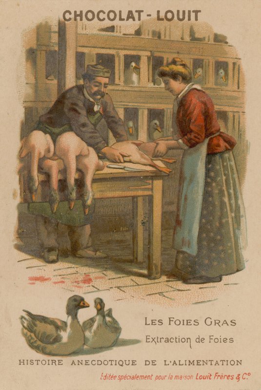 Gåselever av French School