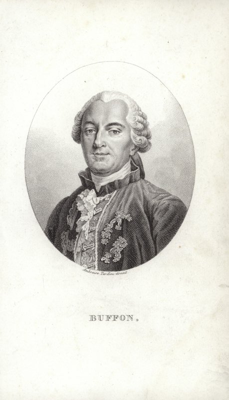 Georges Louis Leclerc av French School