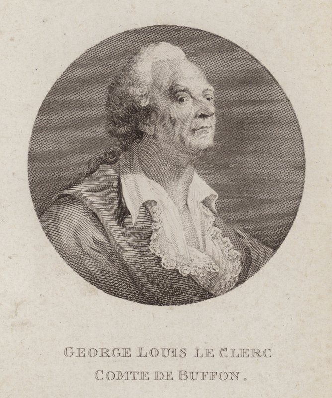 Georges-Louis Leclerc, Comte de Buffon, fransk naturforsker (gravering) av French School