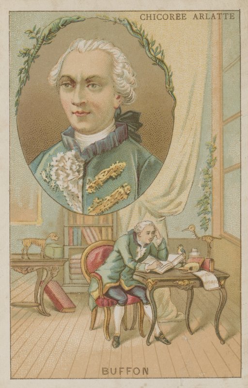 Georges-Louis Leclerc, greve av Buffon, fransk naturforsker av French School