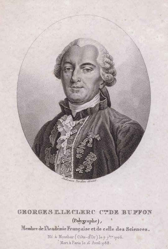 Georges-Louis Leclerc, Comte de Buffon, fransk vitenskapsmann og forfatter (gravering) av French School