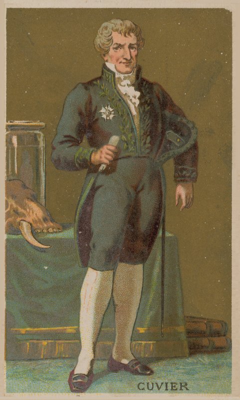 Georges Cuvier , fransk naturforsker og zoolog (1769–1832) av French School
