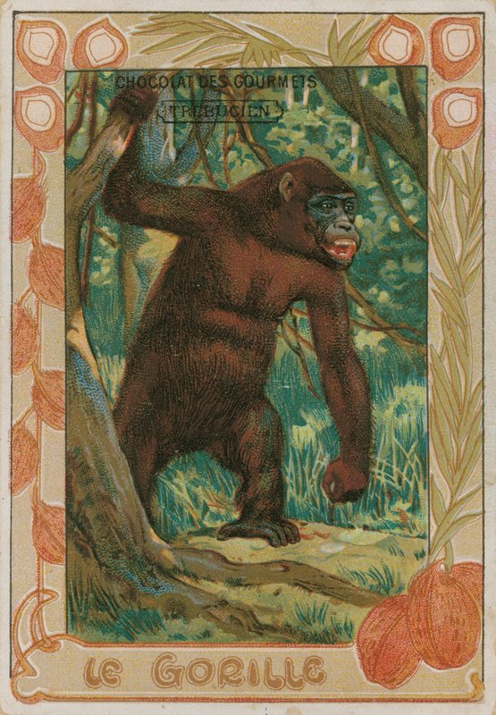 Gorilla av French School