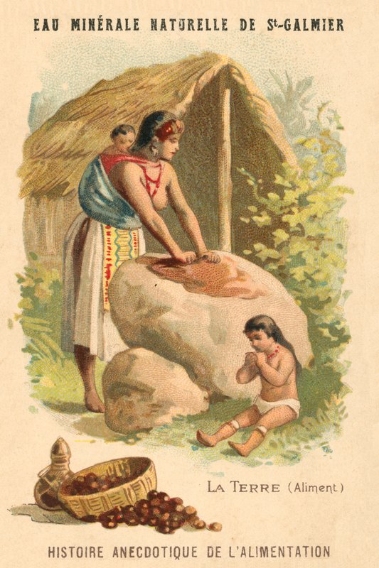 Jordnøtter (chromolitho) av French School