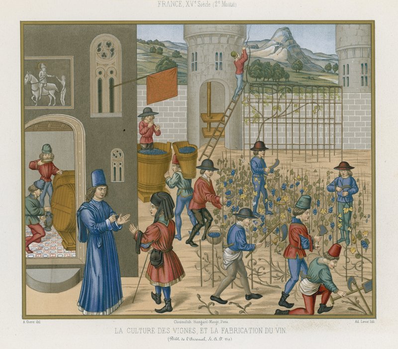 Å dyrke vinstokker og lage vin av French School