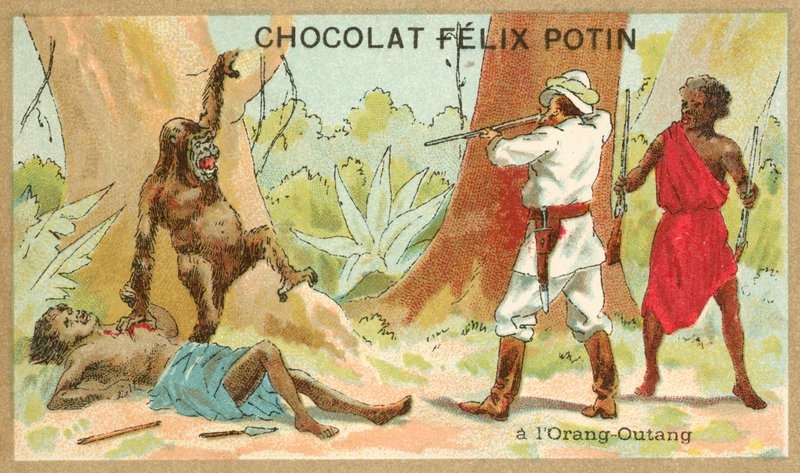 Jakt på orangutang (chromolitho) av French School