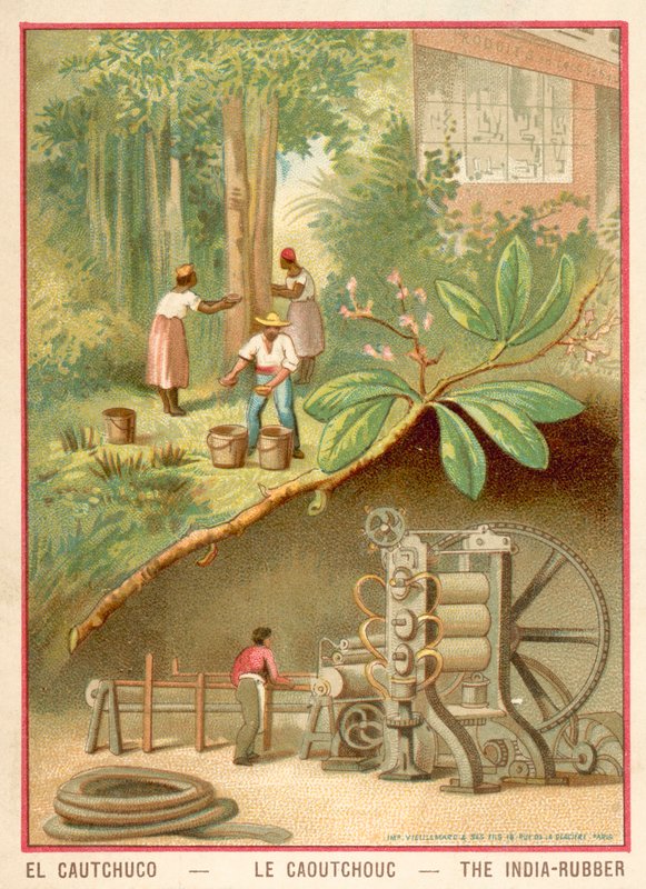 India gummi (chromolitho) av French School