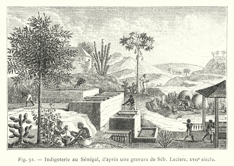 Indigoterie i Senegal, etter en gravering av Seb, Leclerc, 1600-tallet (gravering) av French School