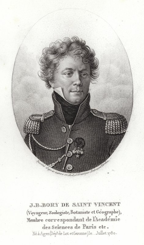 Jean-Baptiste Bory fra Saint-Vincent av French School