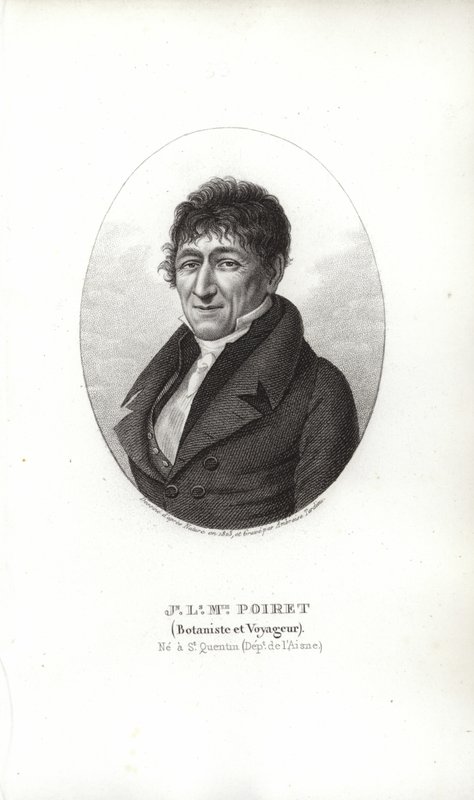 Jean Louis Marie Poiret av French School