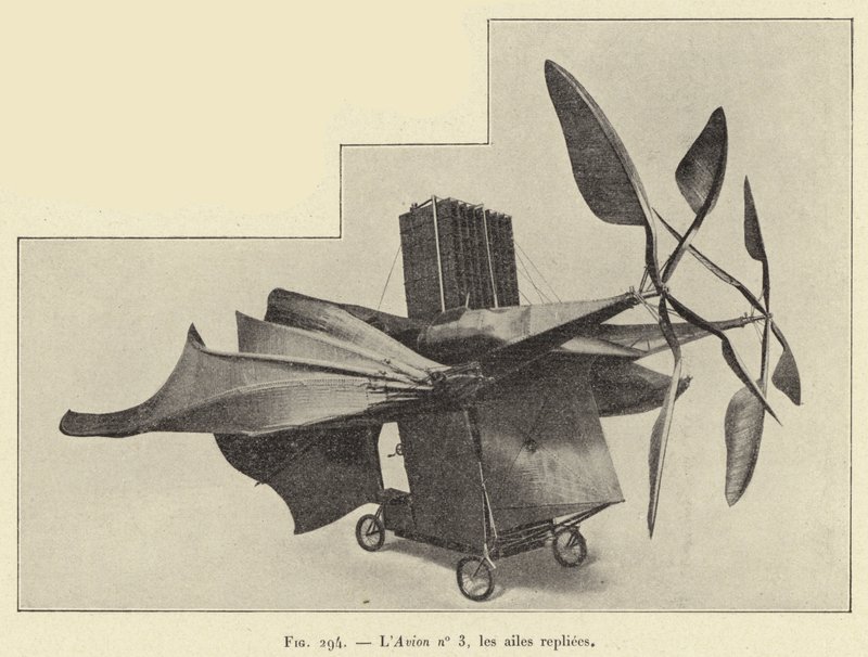 Fly nr. 3, vingene foldet (gravering) av French School