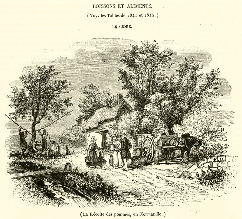 Høsting av epler i Normandie (gravering) av French School