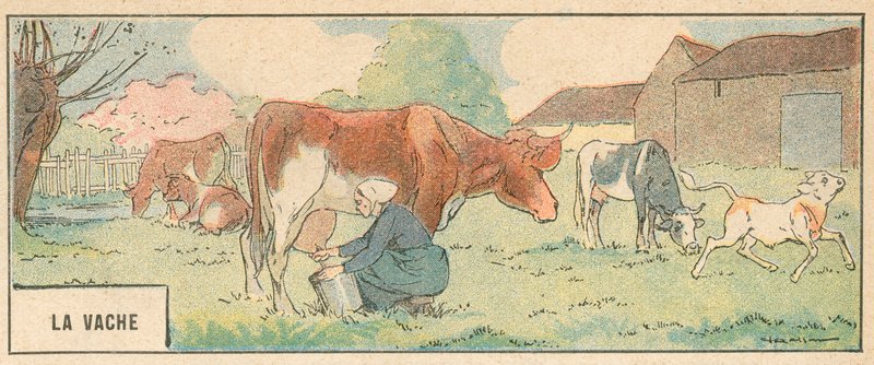 La Bache (svart litho) av French School
