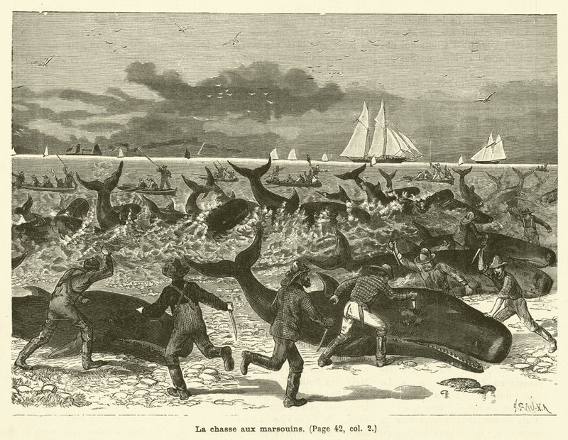 Nisejakten (gravering) av French School
