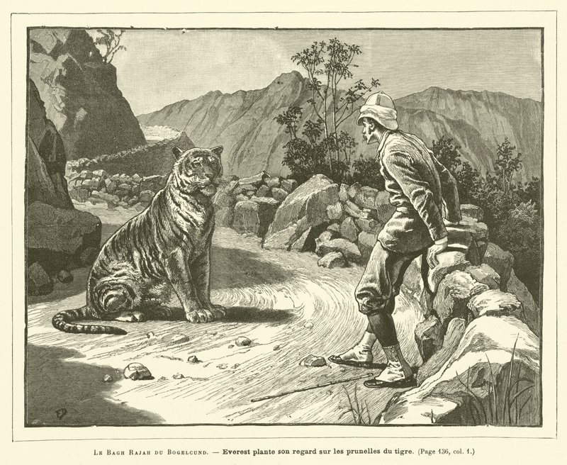 Le Bagh Rajah Du Bogelcund (gravering) av French School