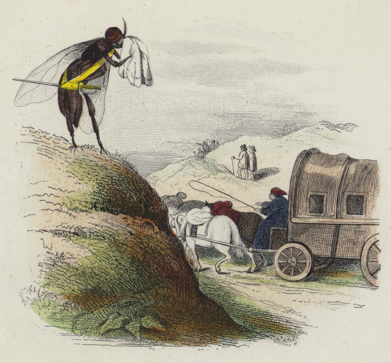 The Coach And The Fly (farget gravering) av French School