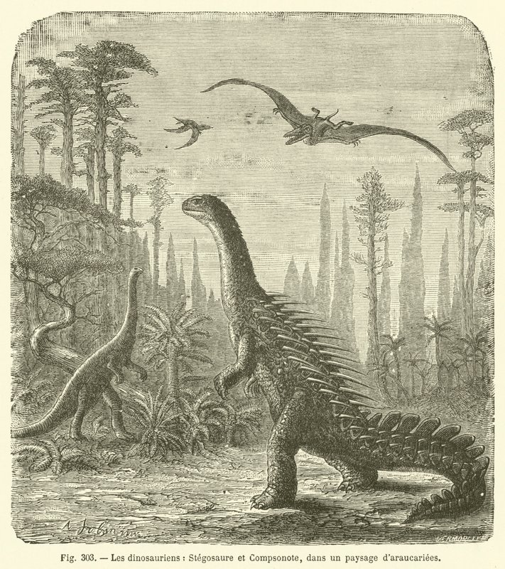 Dinosaurene, Stegosaurus og Compsonote, i et landskap av Araucariae (gravering) av French School