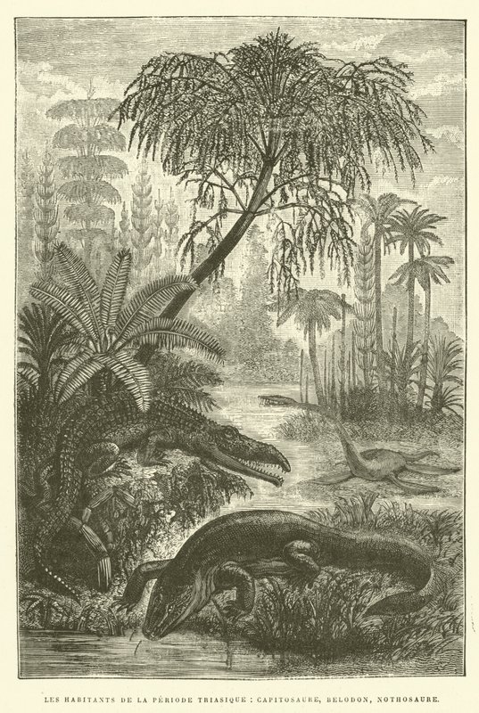 Innbyggerne i triasperioden, capitosaurus, belodon, nothosaurus (gravering) av French School