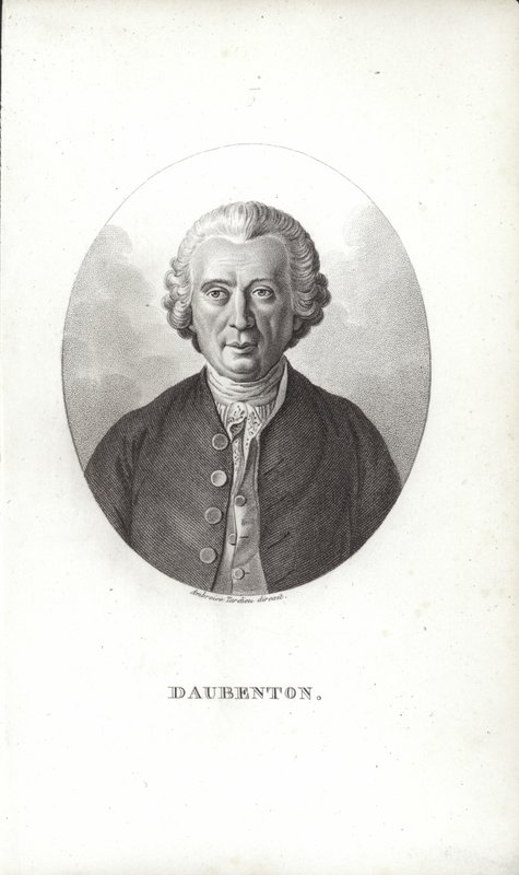 Louis-Jean-Marie Daubenton av French School
