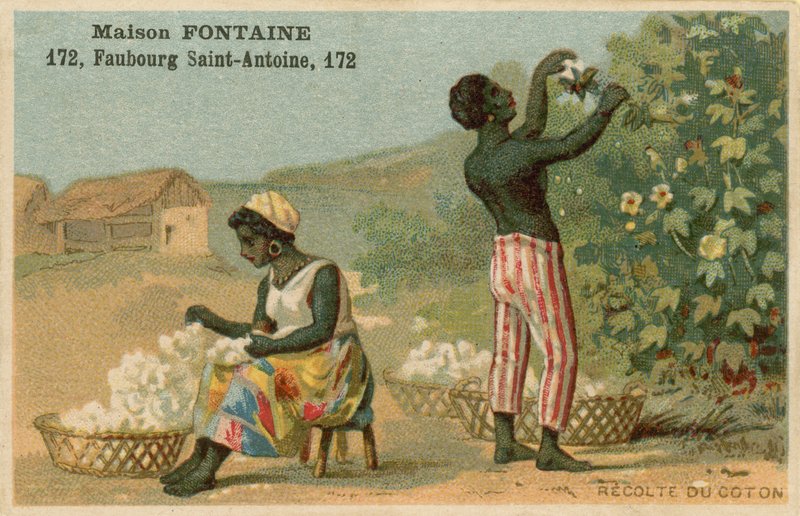 Maison Fontaine handelskort, bomullshøst av French School