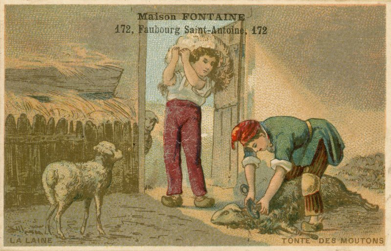 Maison Fontaine handelskort, saueklipping av French School