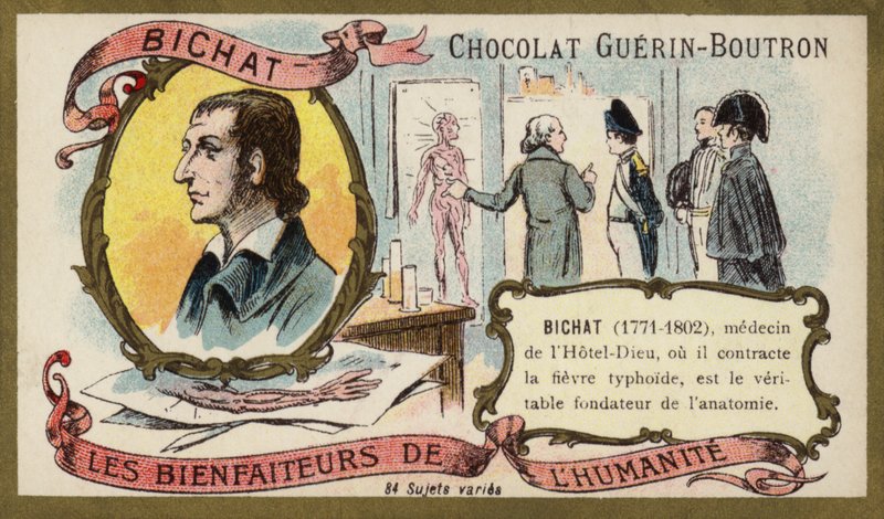 Marie Francois Xavier Bichat , fransk fysiolog og anatom (chromolitho) av French School
