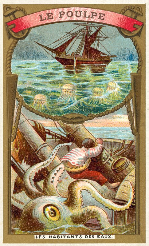 Blekksprut (chromolitho) av French School