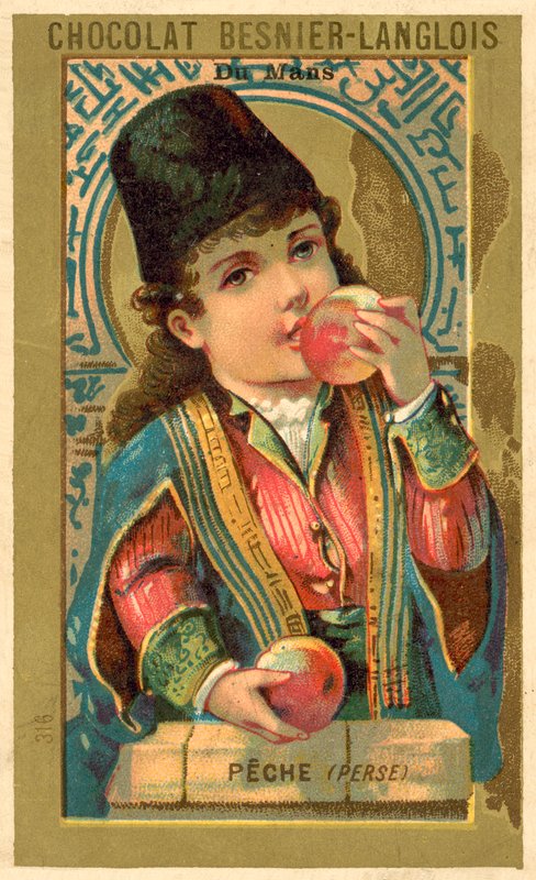 Fersken fra Persia (chromolitho) av French School