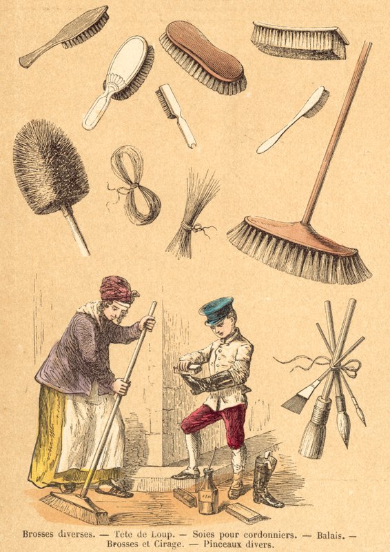 Gris (farget gravering) av French School