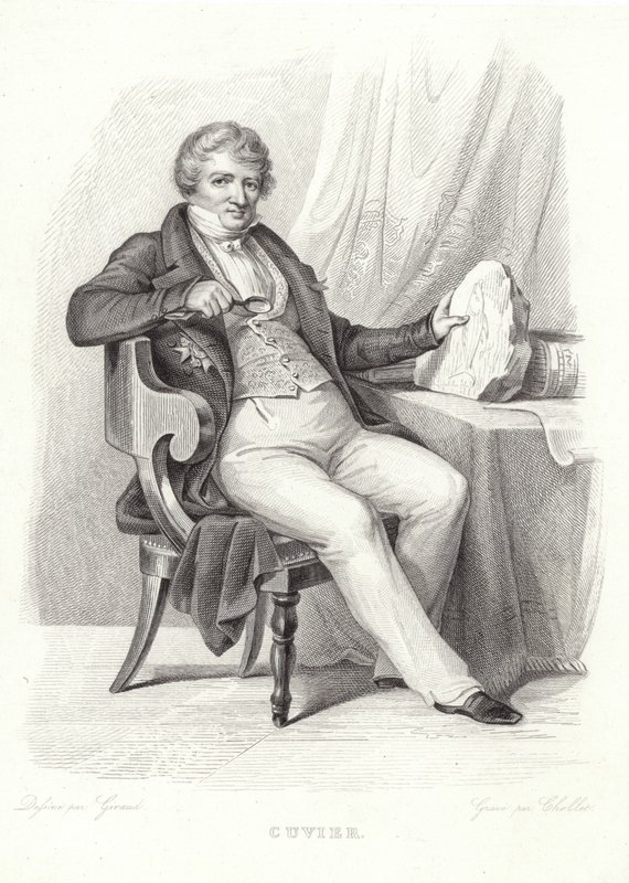 Portrett av George Cuvier av French School
