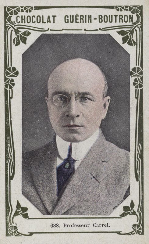 Professor Carrel (farget bilde) av French School