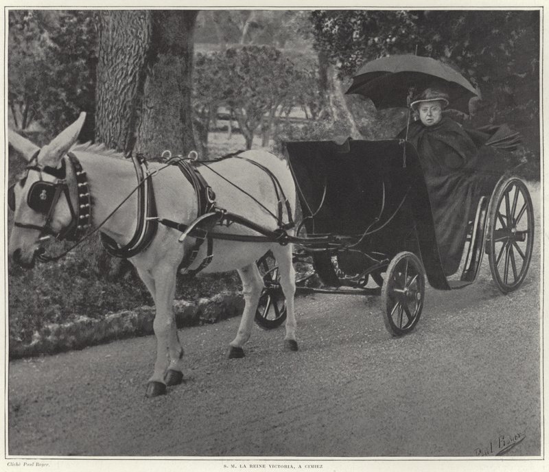 Dronning Victoria i Cimiez av French School