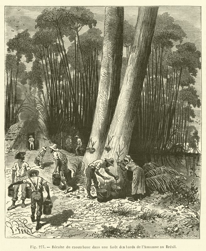 Høsting av gummi i en skog på bredden av Amazonas i Brasil av French School