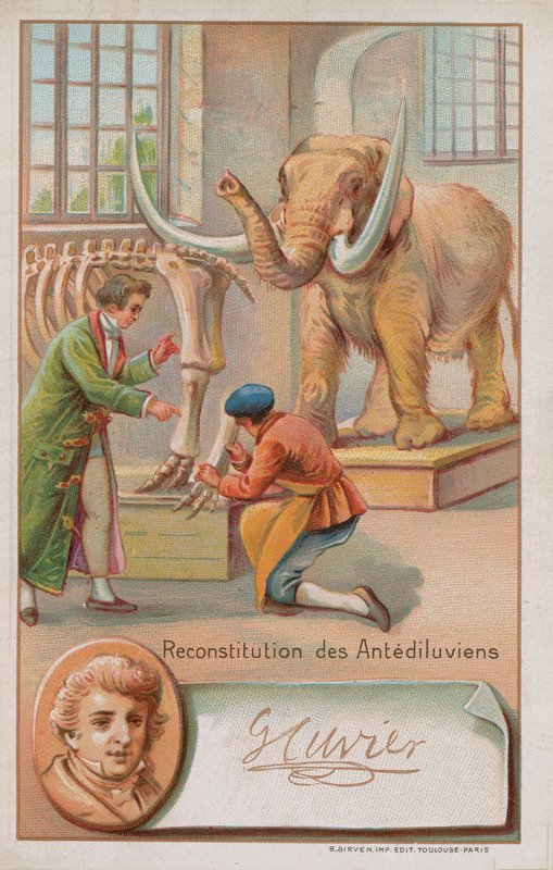 Rekonstruksjon av antediluviansk periode av Georges Cuvier, fransk naturforsker og zoolog (1769-1832). av French School