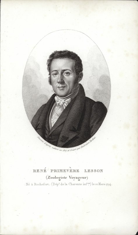 René Primevère-leksjon av French School