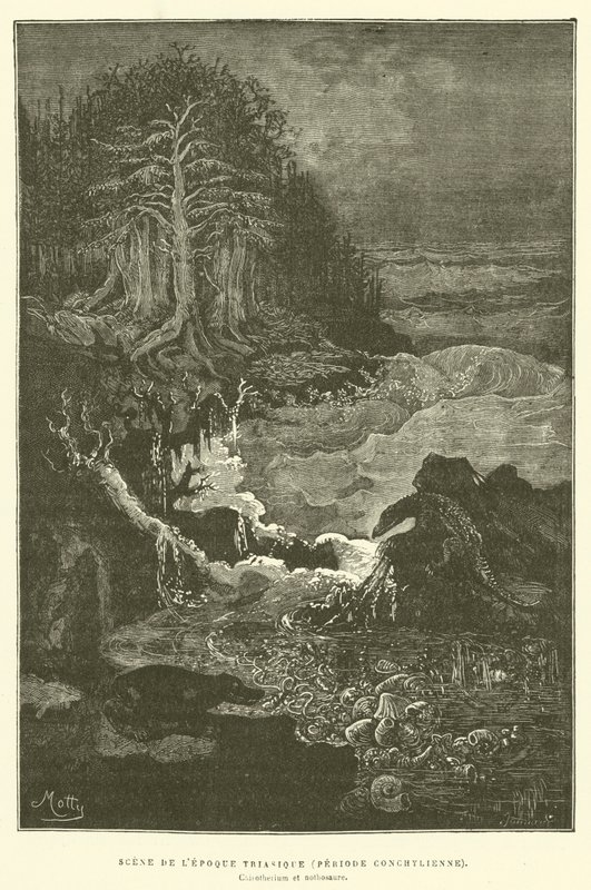 Scene fra triasperioden (konkyliansk periode) (gravering) av French School