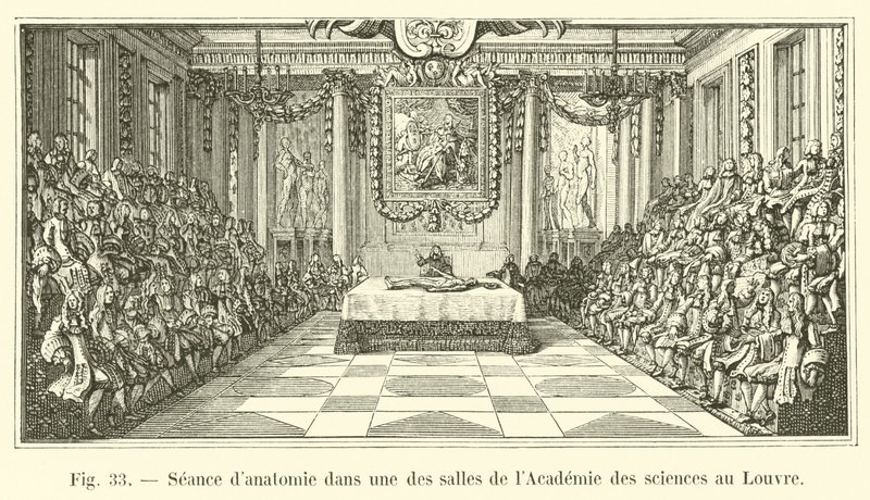 Anatomiøkt i et av rommene til Vitenskapsakademiet ved Louvre av French School