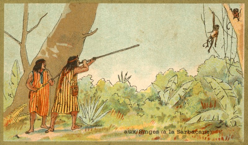 Søramerikanske indianere som jakter aper med blåserør (chromolitho) av French School