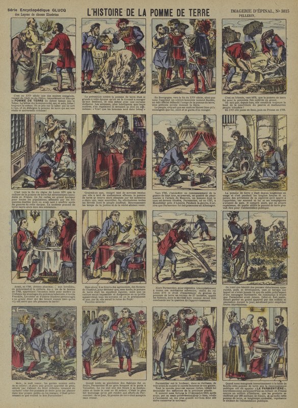 Historien om poteten (farge litho) av French School