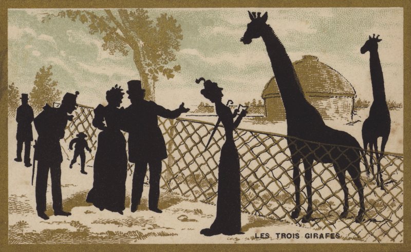 De tre sjiraffene (chromolitho) av French School