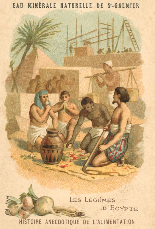 Grønnsakene i Egypt (chromolitho) av French School