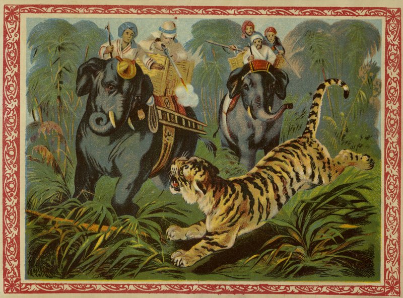 Tigerjakt av French School