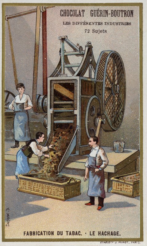 Tobakkproduksjon. Makulering av blader (kromolito) av French School