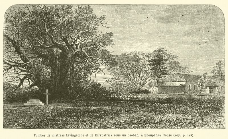 Graver av fru Livingstone og Kirkpatrick under et baobabtre, ved Shoupanga House (gravering) av French School