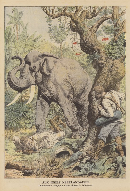 Tragisk avslutning på en elefantjakt i Nederlandsk Øst-India (farge litho) av French School